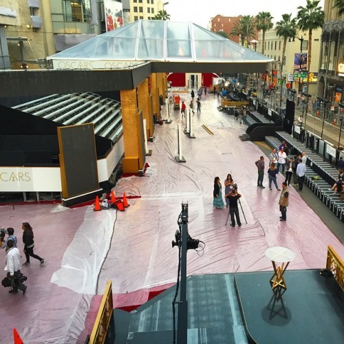 The red carpet is taking shape for the big show on Sunday. #redcarpet #oscars #hollywoodblvd