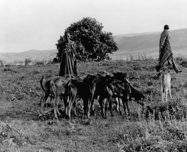 Masai Shepherds - Kenya