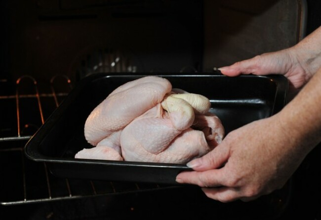 Chicken - stock