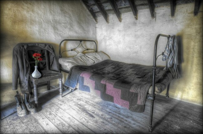 Thomas Gray - Red rose old house - Dundalk Photographic Society - Colour Print Theme - Advanced First