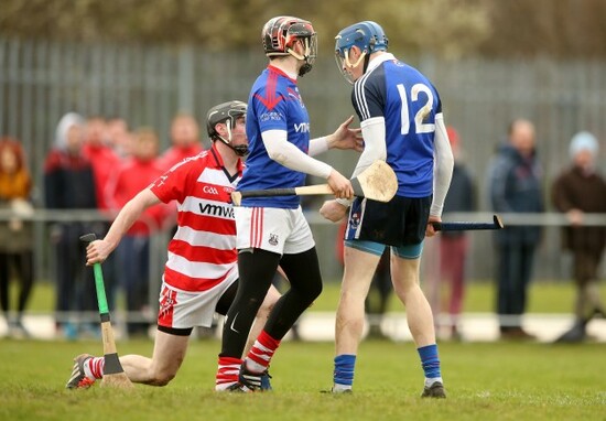 Austin Gleeson celebrates scoring his side's first goal