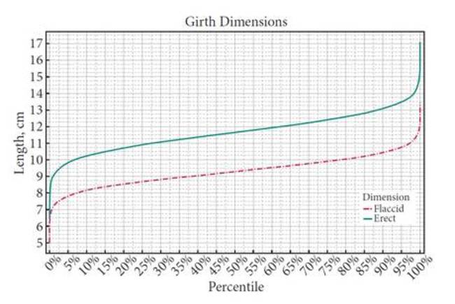 Penis chart 2