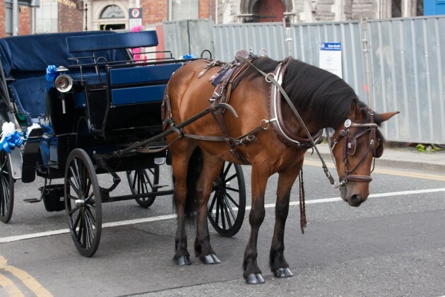 Gay Pride Parade 2010 - Dublin