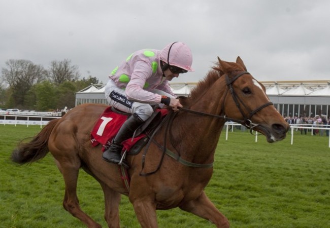 Horse Racing - Punchestown Festival - AES Festival Family Day - Punchestown Racecourse