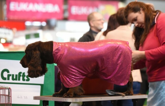 Crufts 2015