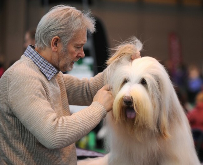 Britain Crufts Dog Show