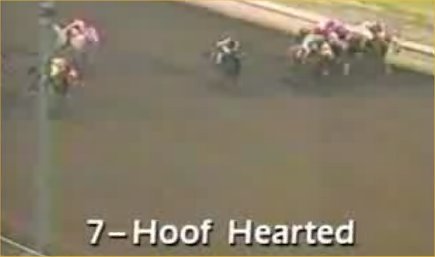 horse-named-hoof-hearted