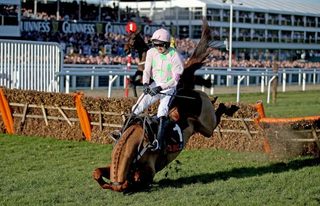 Ruby Walsh and Annie Power fall at the final hurdle
