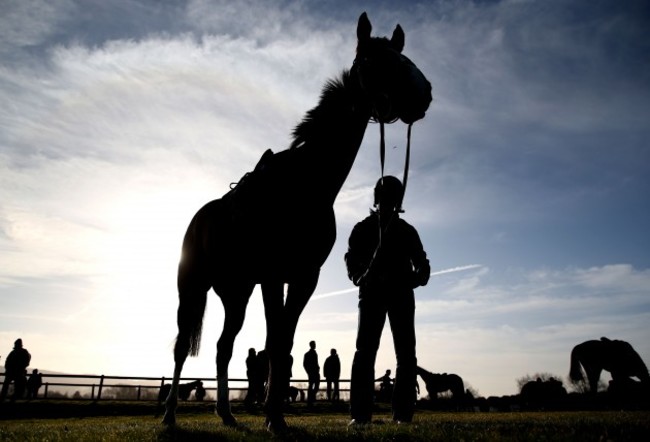 Faugheen with Robbie O'Connor