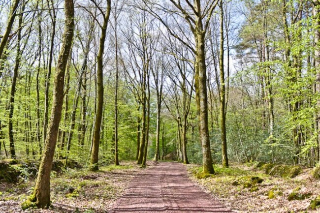 Un tunnel de verdure