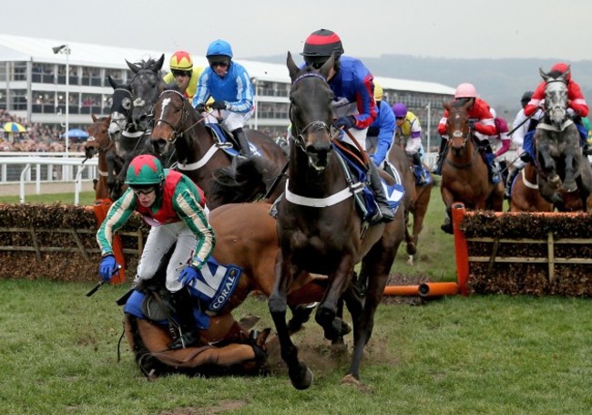 Dell'Arca ridden by Tom Scudamore falls