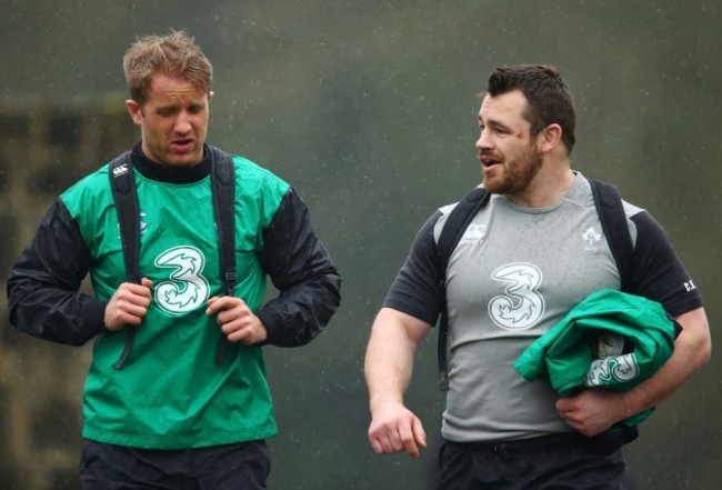 Luke Fitzgerald and Cian Healy