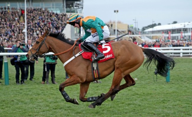 Cold Harden ridden by Gavin Sheehan comes home to win