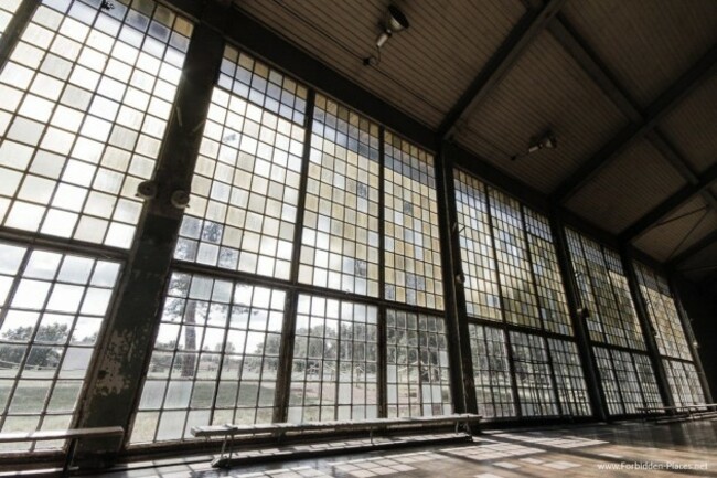 when-athletes-werent-wining-and-dining-they-were-training-the-gymnasium-was-once-sunlit-and-airy