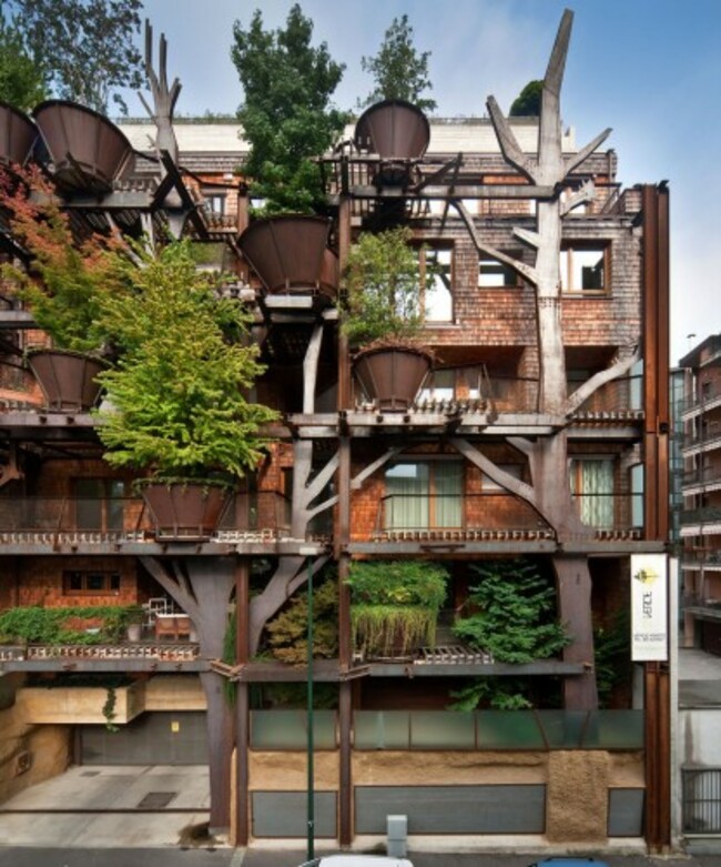 treehouse - 1