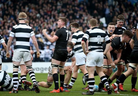 Leinster Rugby - 170315SMC1839 17 March 2015; Belvedere College captain Mike  Sweeney and CC Roscrea captain Tim Foley lead their side's out ahead of the  game. Bank of Ireland Leinster Schools Senior