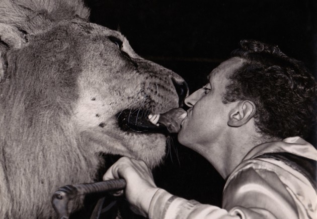 Bill Stephen's feeds lion mouth to mouth