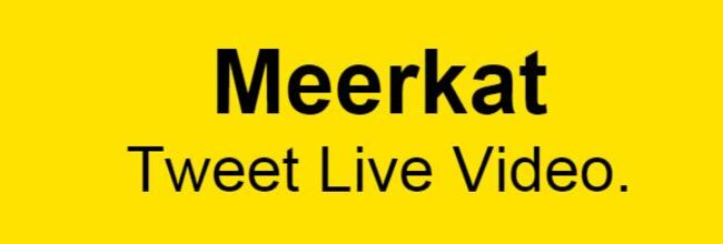 meerkat