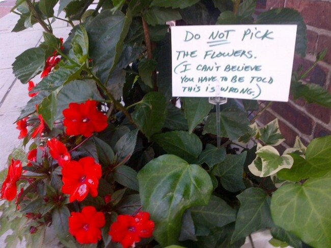 Passive Aggressive Florist