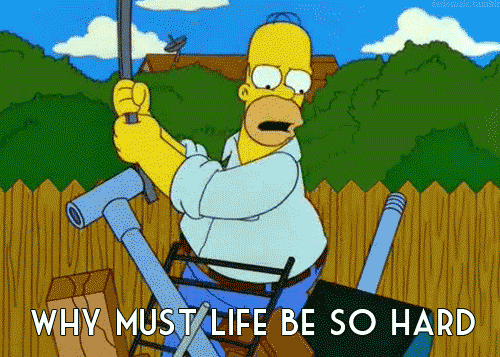 post-14956-WHY-MUST-LIFE-BE-SO-HARD-Homer-sDyY