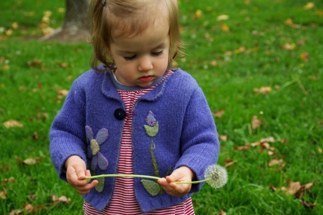 toddler with dandelion