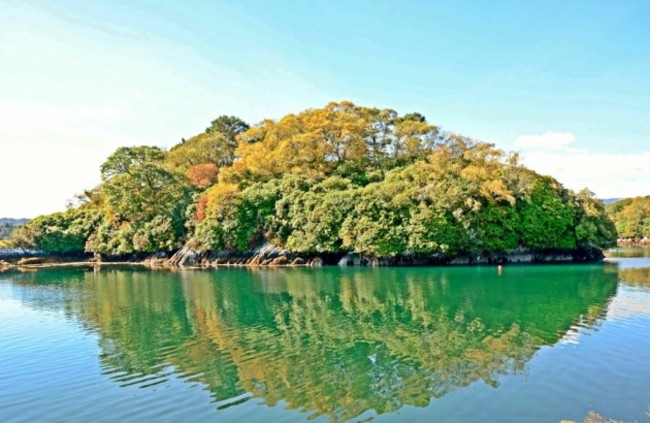 rvzCw3mM2d36KRqwGyzmaGHmx2EPXoMgO9Ug0e4598dsPTEwMjQ=