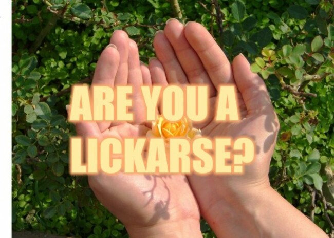 lickarse