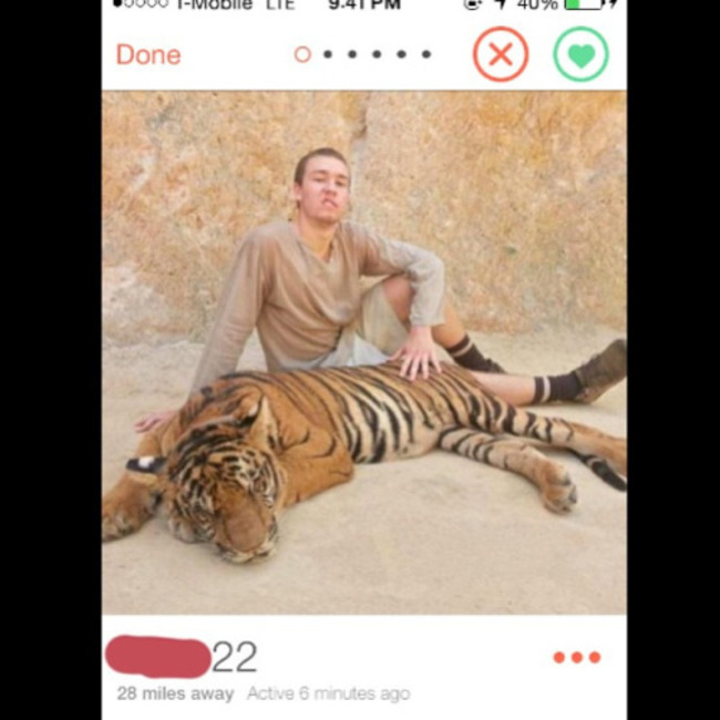 tiger