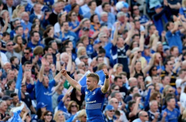 Ian Madigan celebrates at the final whistle