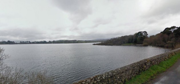 vartry reservoir