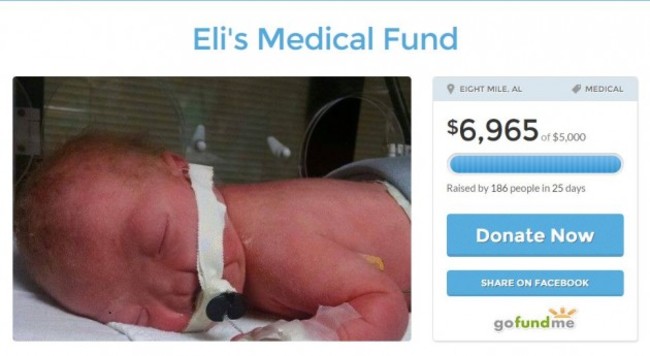 eli gofundme