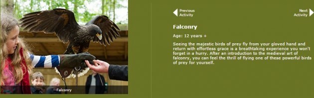 falconry