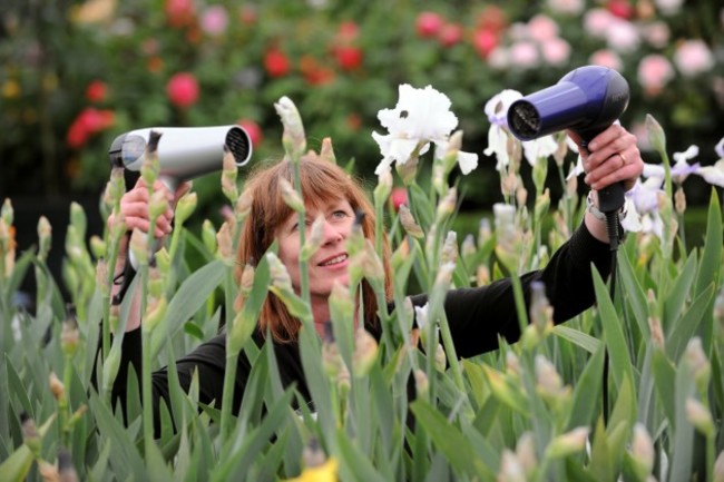 Chelsea Flower Show