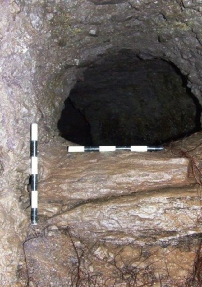 DSCF5209ed_step from Chamber 1