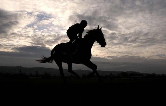 Thunder and Roses on the gallops this morning