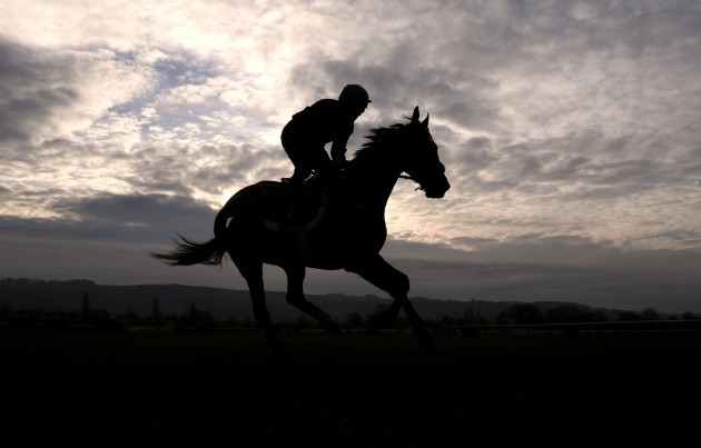 Thunder and Roses on the gallops this morning