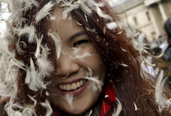 International Pillow Fight Day 2015