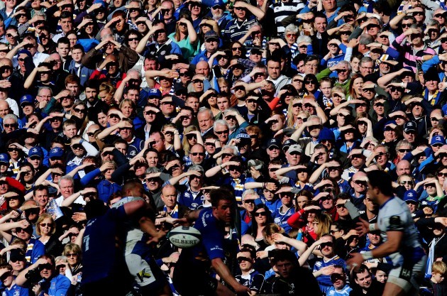 Leinster fans look on in the sun