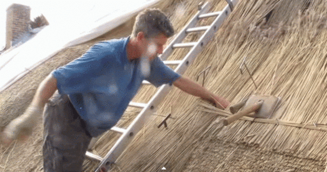 Man thatching a roof