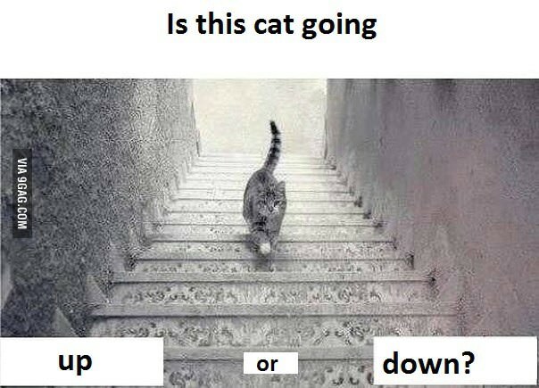 catdpwn