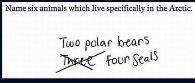 Unusual Exam Answers. Part 2 (23 pics)