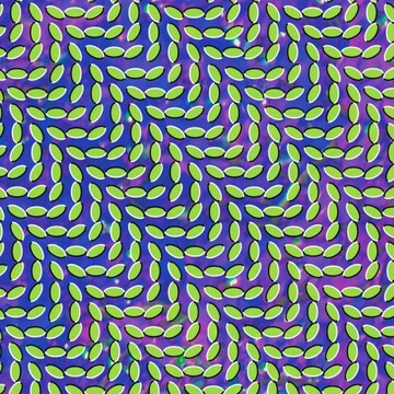 animal_collective_cover