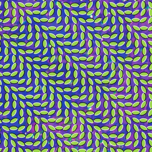 animal_collective_cover