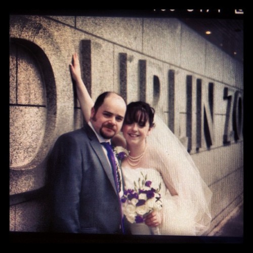 A little look at today wedding from Dublin Zoo
