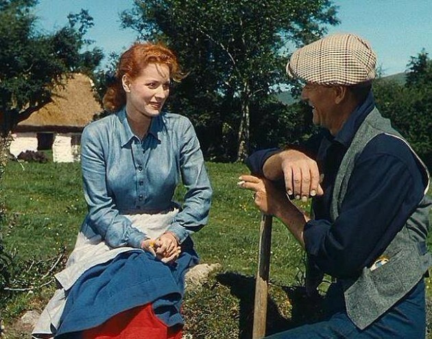 Tourists Keep Taking Stones From The Quiet Man Cottage And This