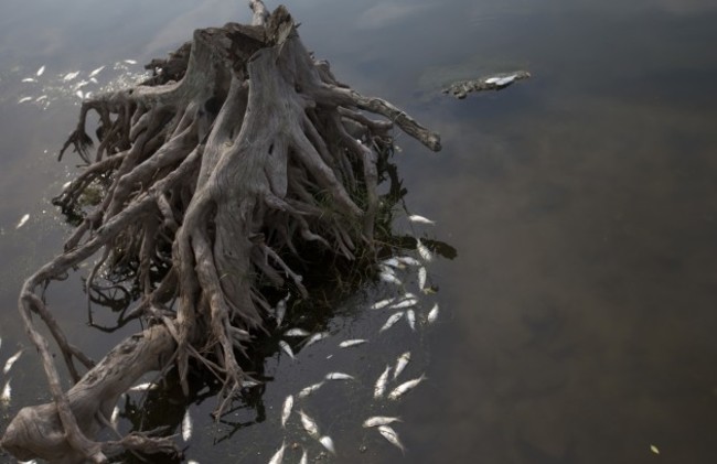 Brazil Rio 2016 Dirty Water