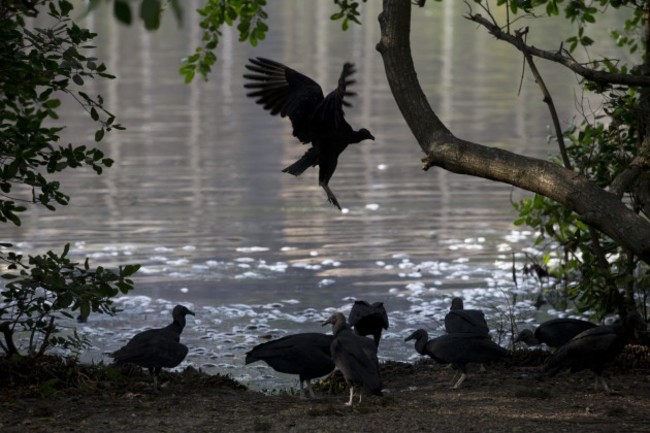 Brazil Rio 2016 Dirty Water