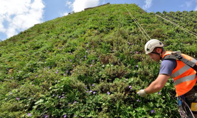 Screen Shot 2015-04-16 at 17.54.41