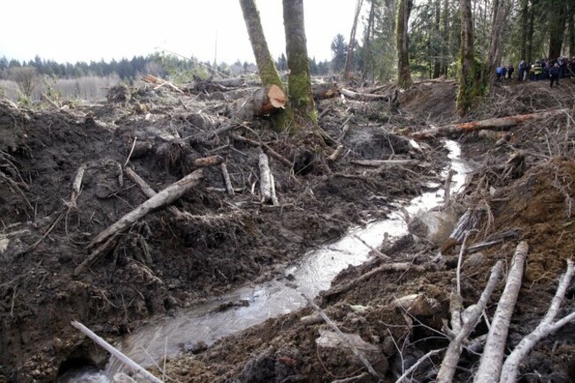 Washington Mudslide