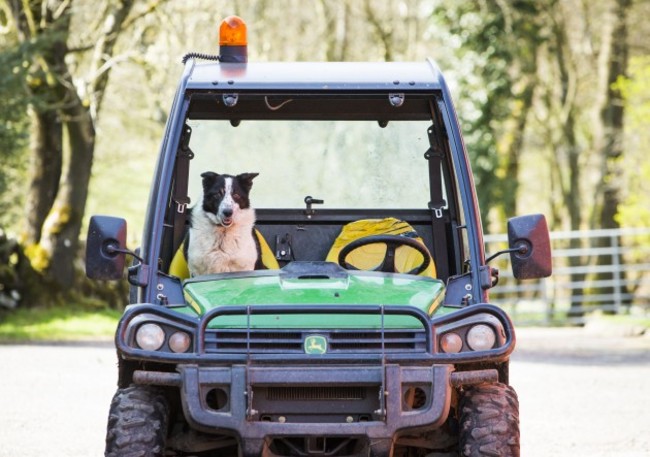 Drivers dogged by M-way tailbacks